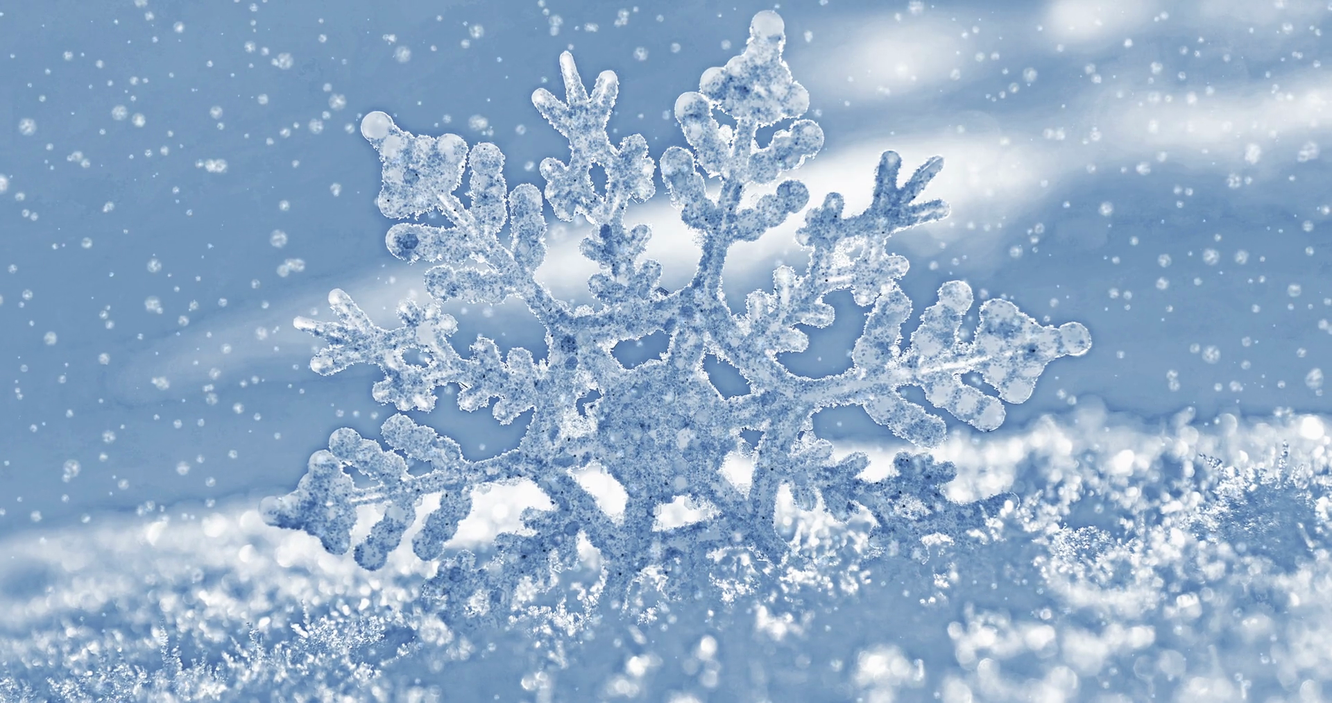 Season Greetings 2018 – With Our Appreciation at the Holidays