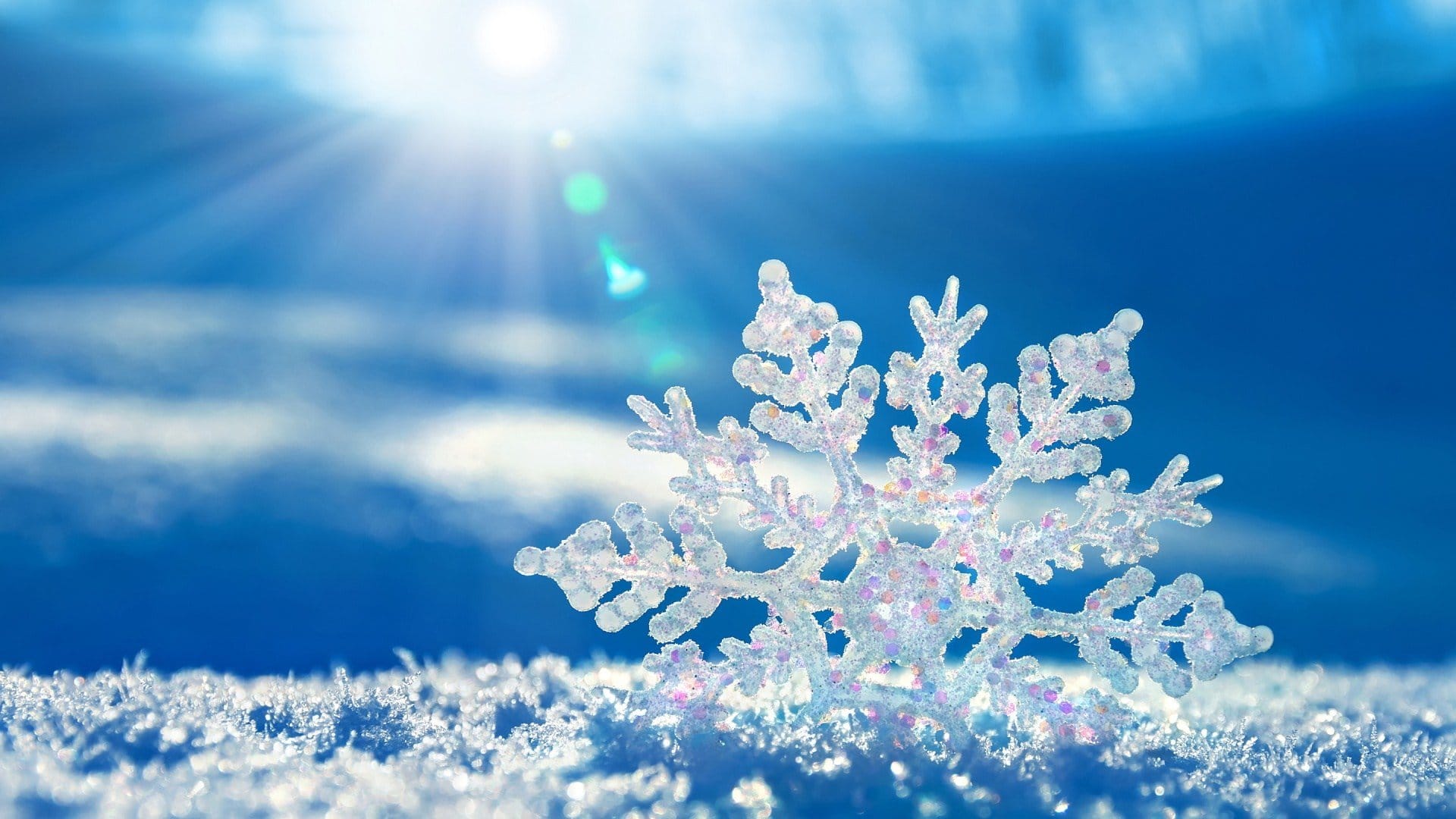 Warmest Wishes this Holiday Season